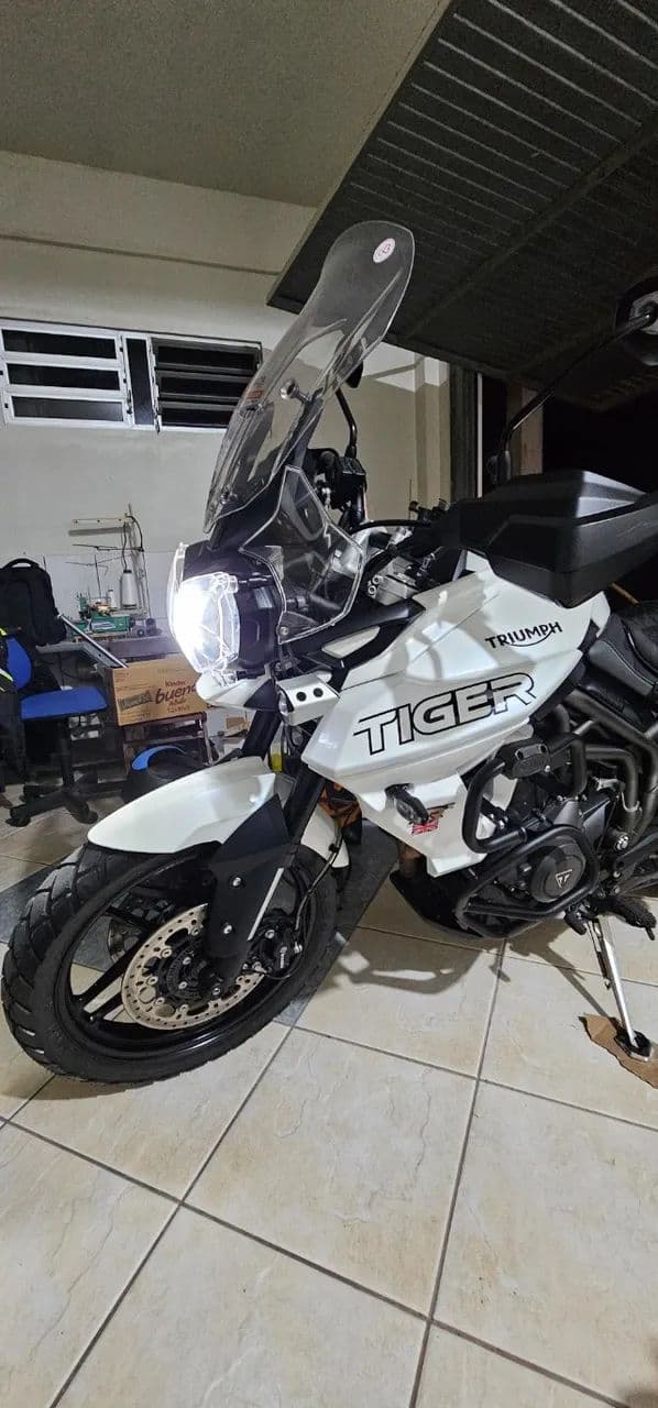Triumph tiger 800 xrx 2019