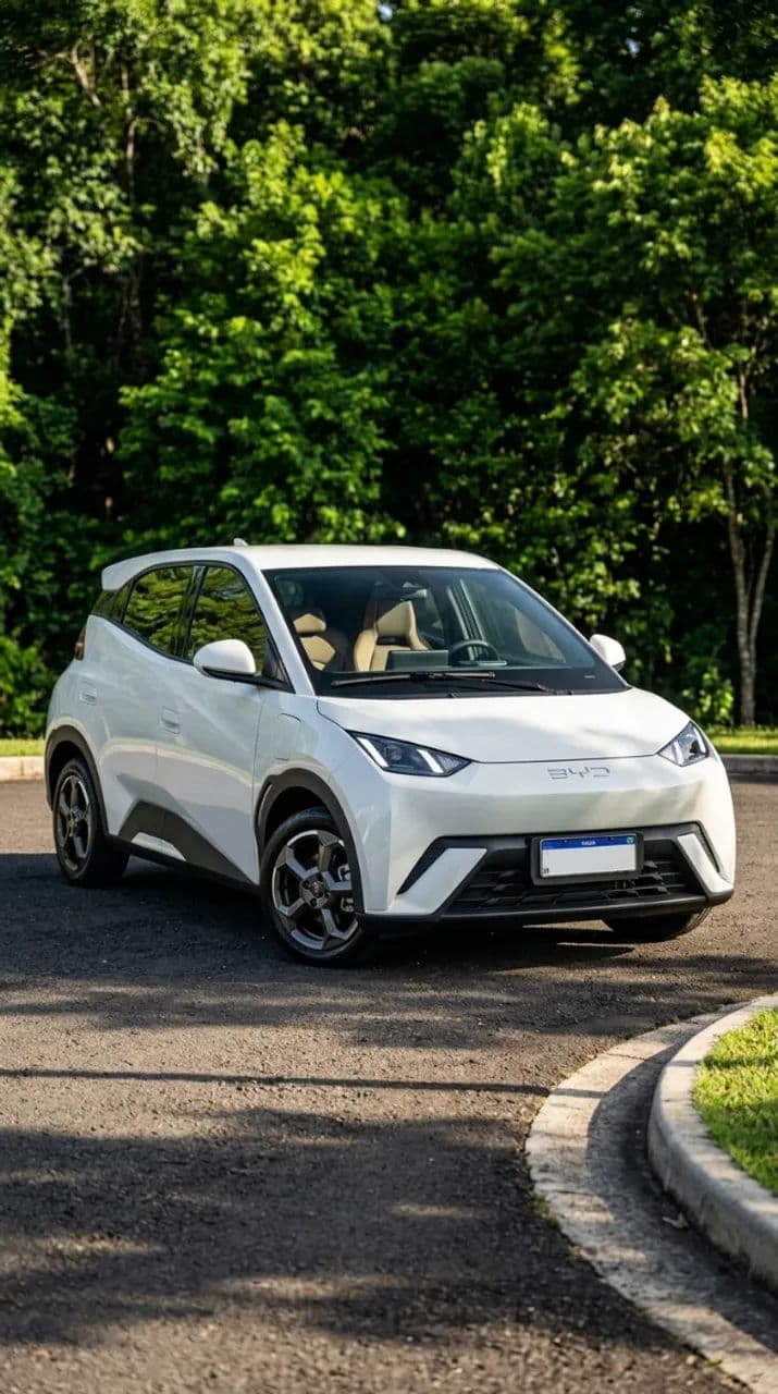 BYD Dolphin Mini (Elétrico) 2025