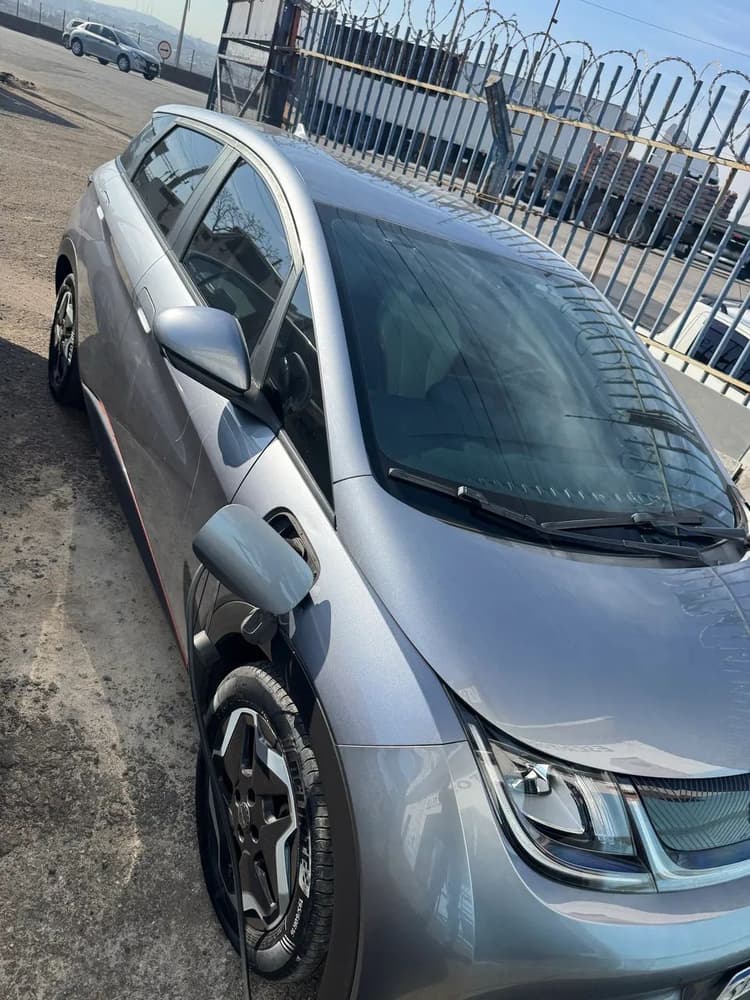BYD Dolphin EV (Elétrico) 2024