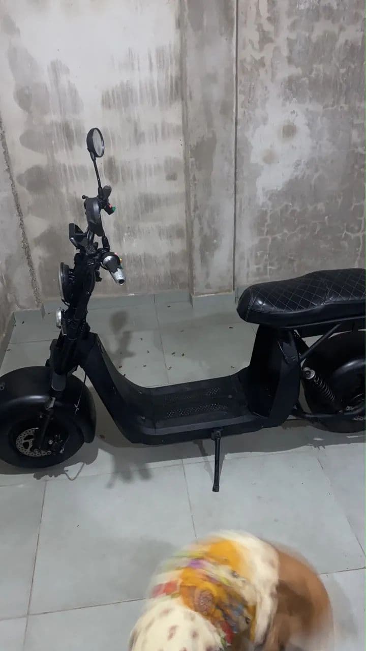 Scooter 