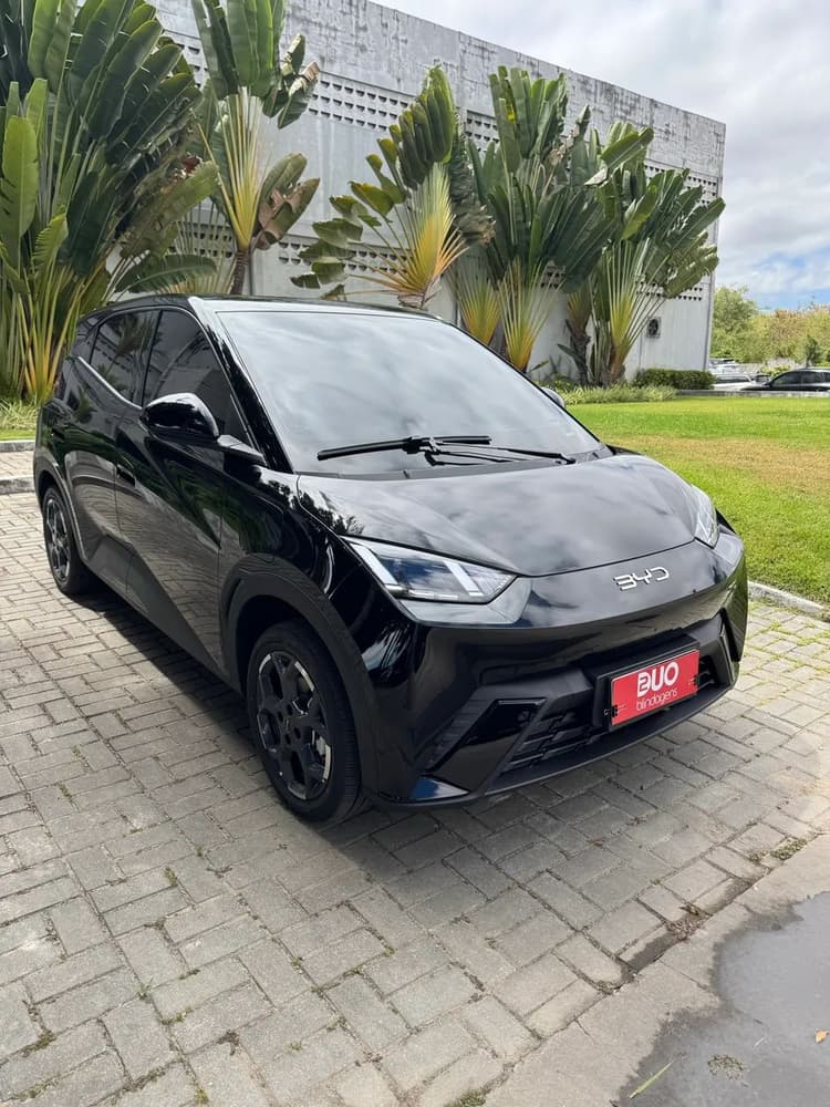 BYD Dolphin Mini (Elétrico) 2027