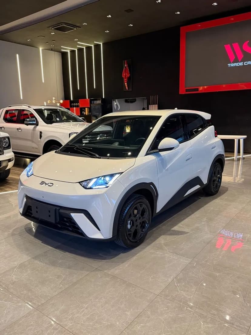 BYD Dolphin Mini (Elétrico) 2027