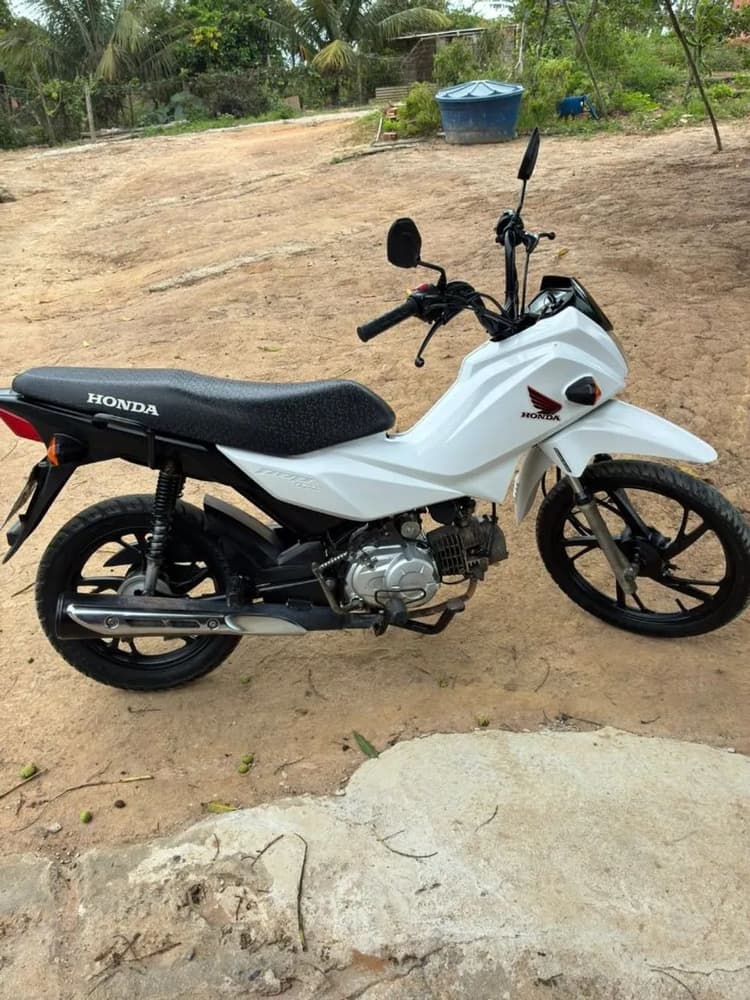 Pop 2020/2021