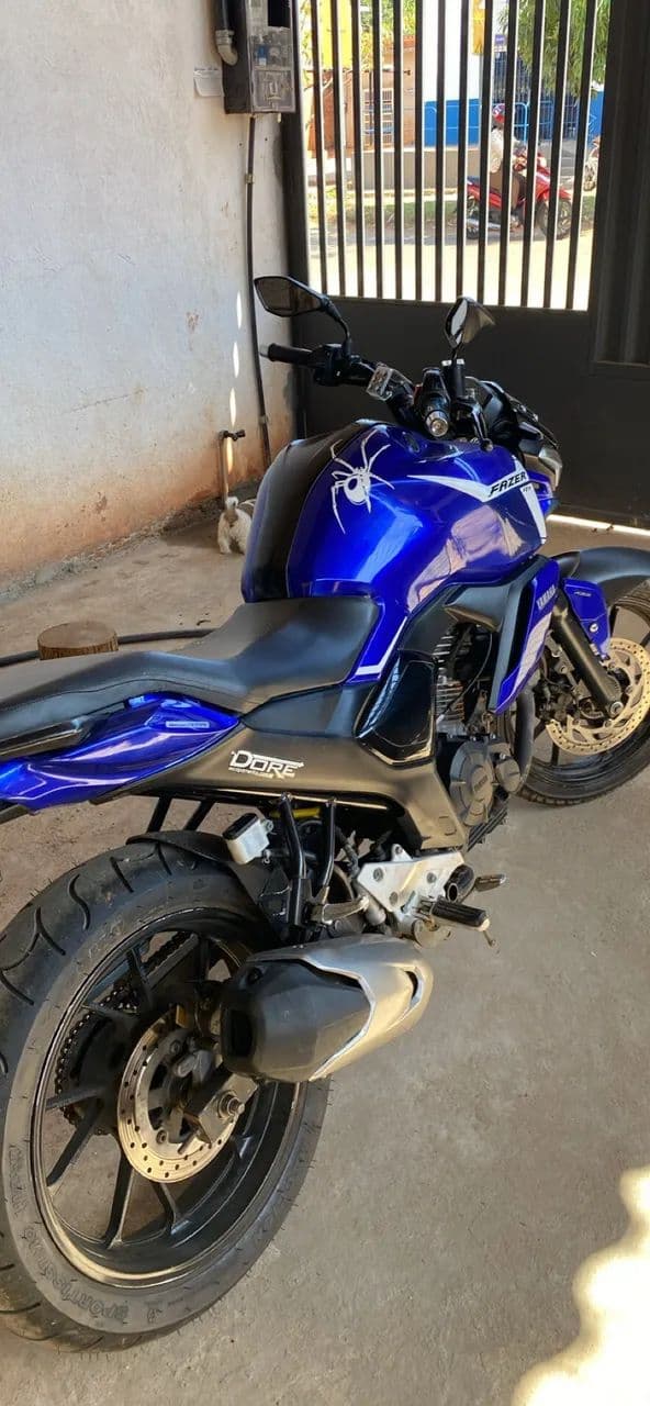 Fz15 2024/2025