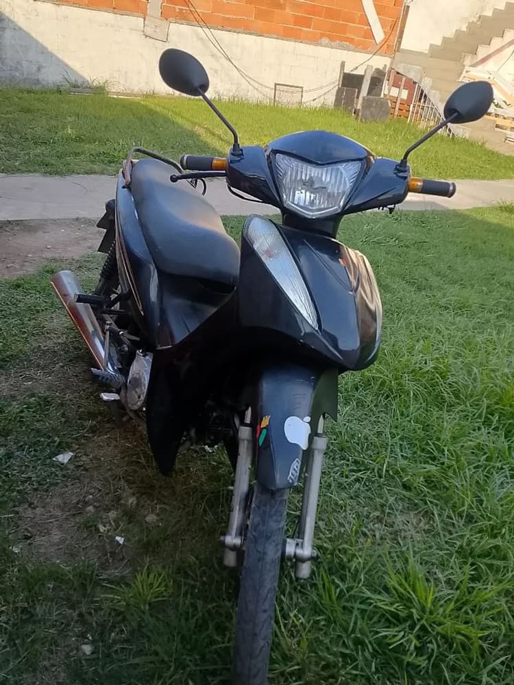 tronco ou vendo 