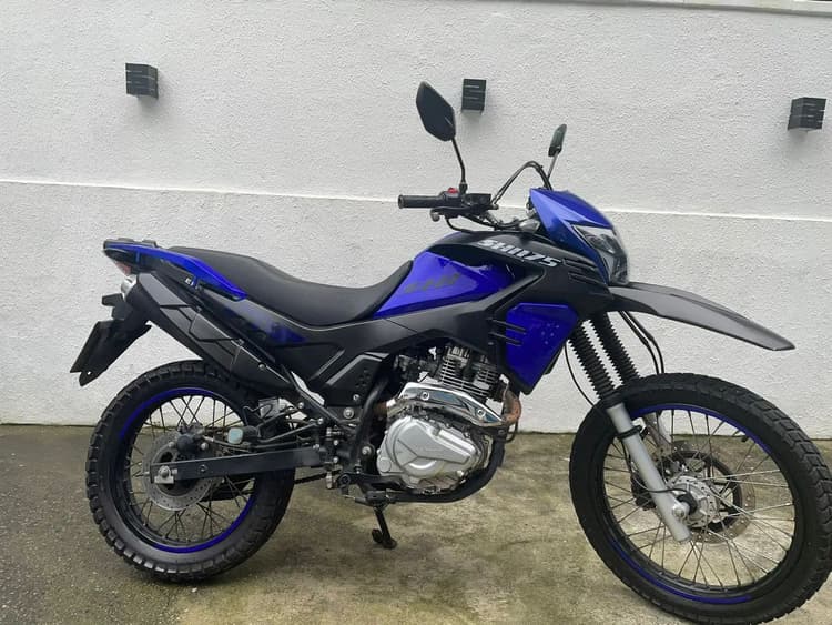 Shi175