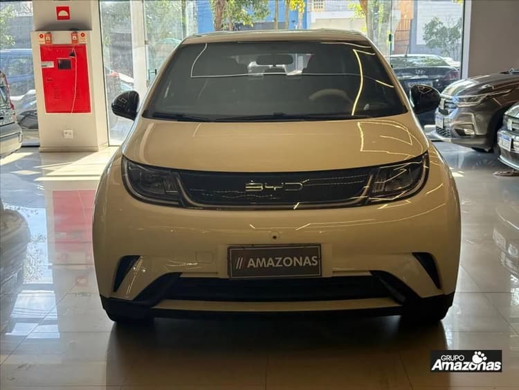 BYD Dolphin EV (Elétrico) 2024
