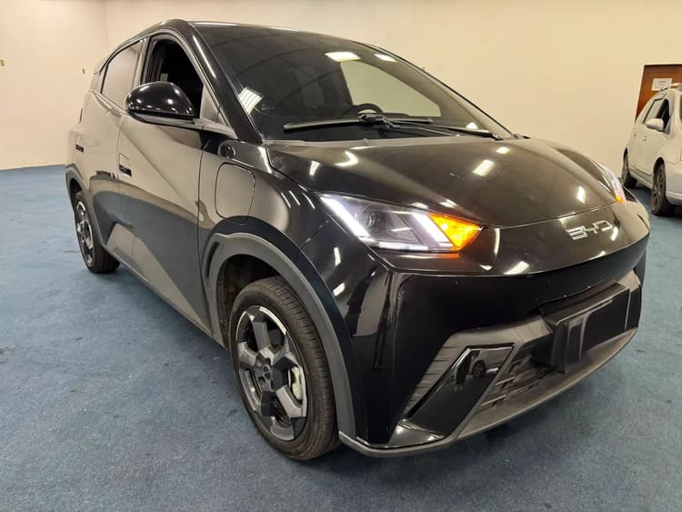 BYD Dolphin Mini (Elétrico) 2025