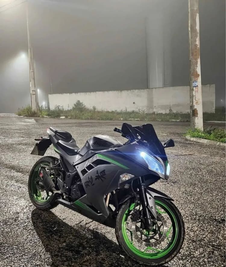 Ninja 300 