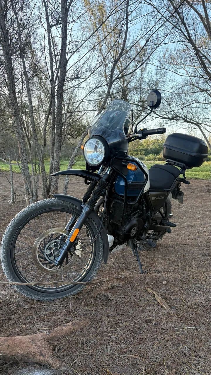 Himalayan 