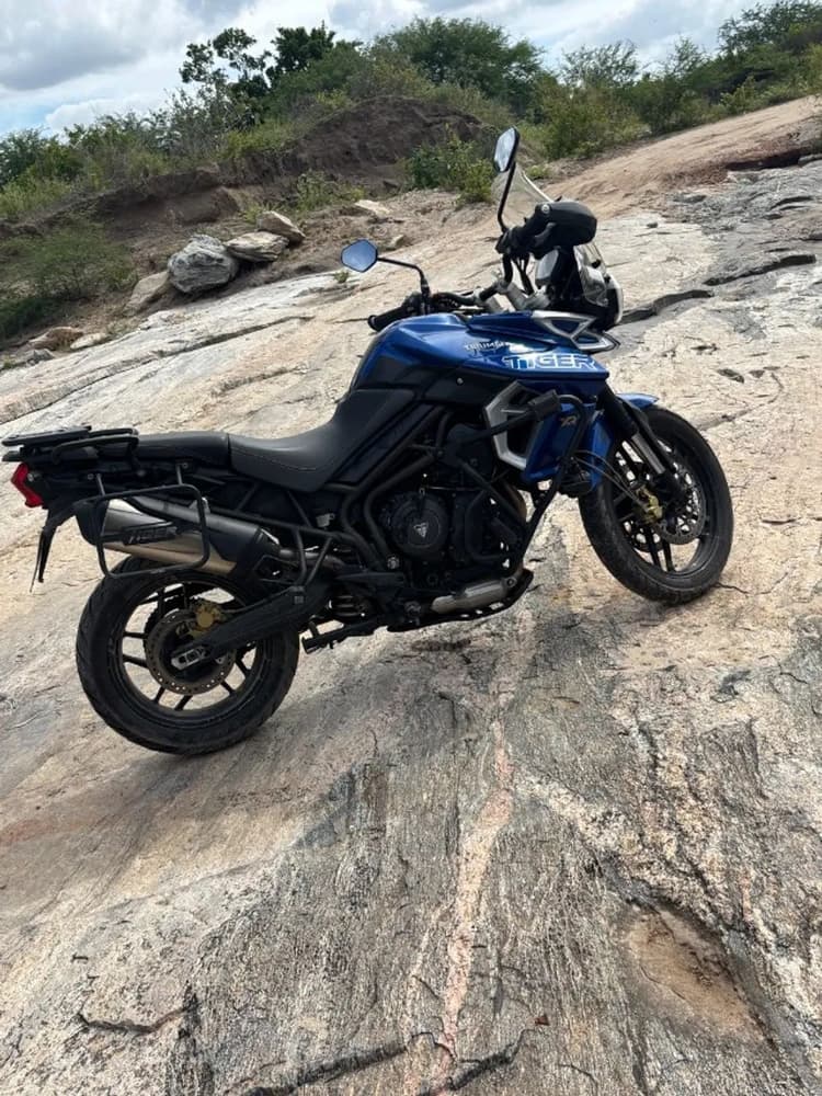 Tiger 800