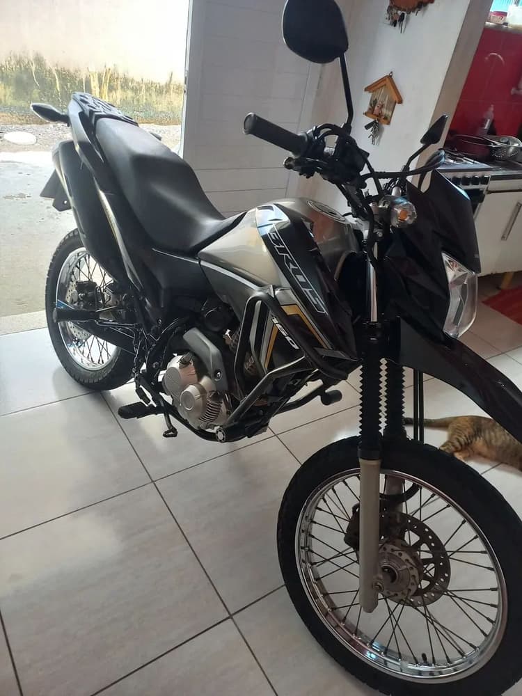 Bros 2023 