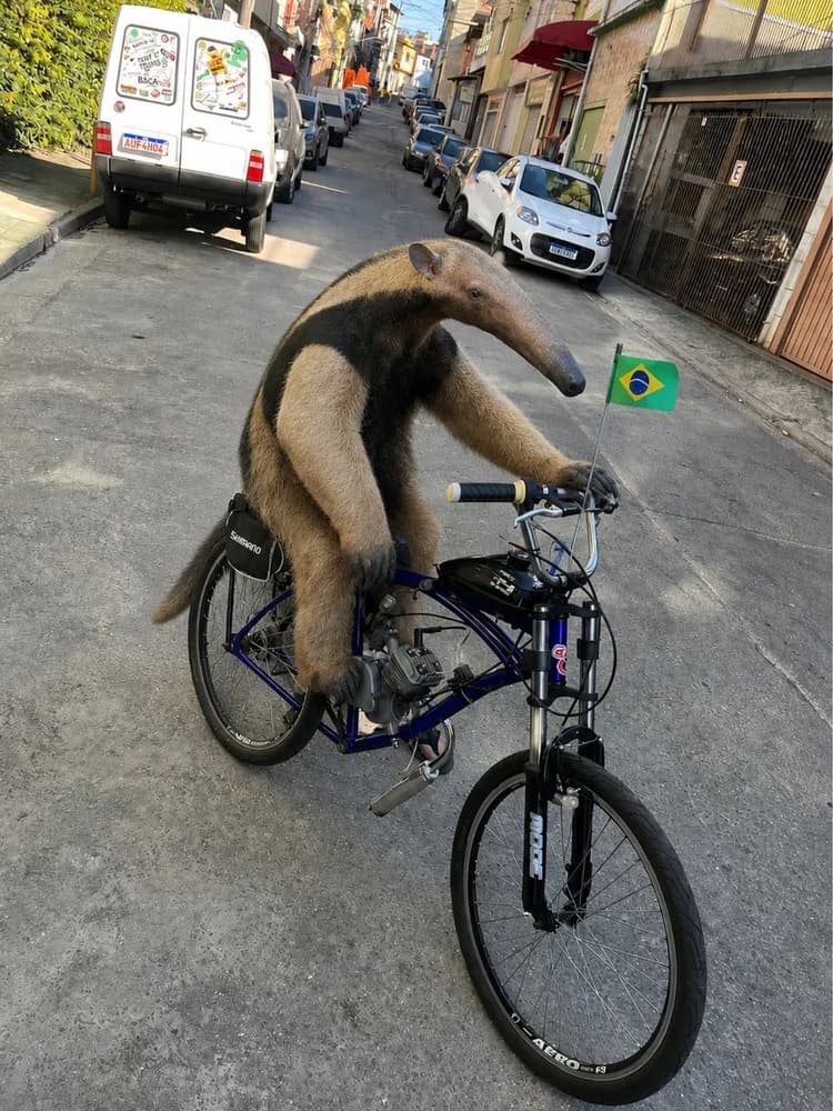 Troco ou vendo