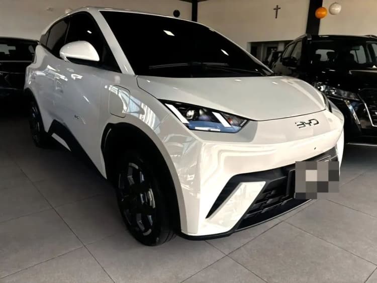 BYD Dolphin Mini (Elétrico) 2027