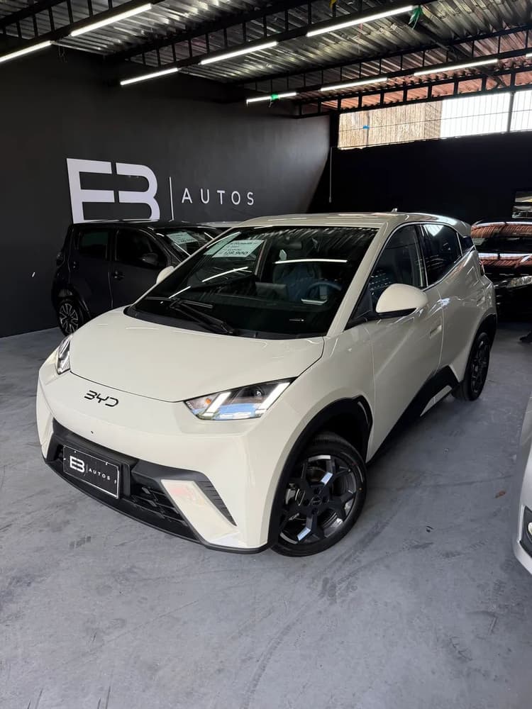 BYD Dolphin Mini (Elétrico) 2027
