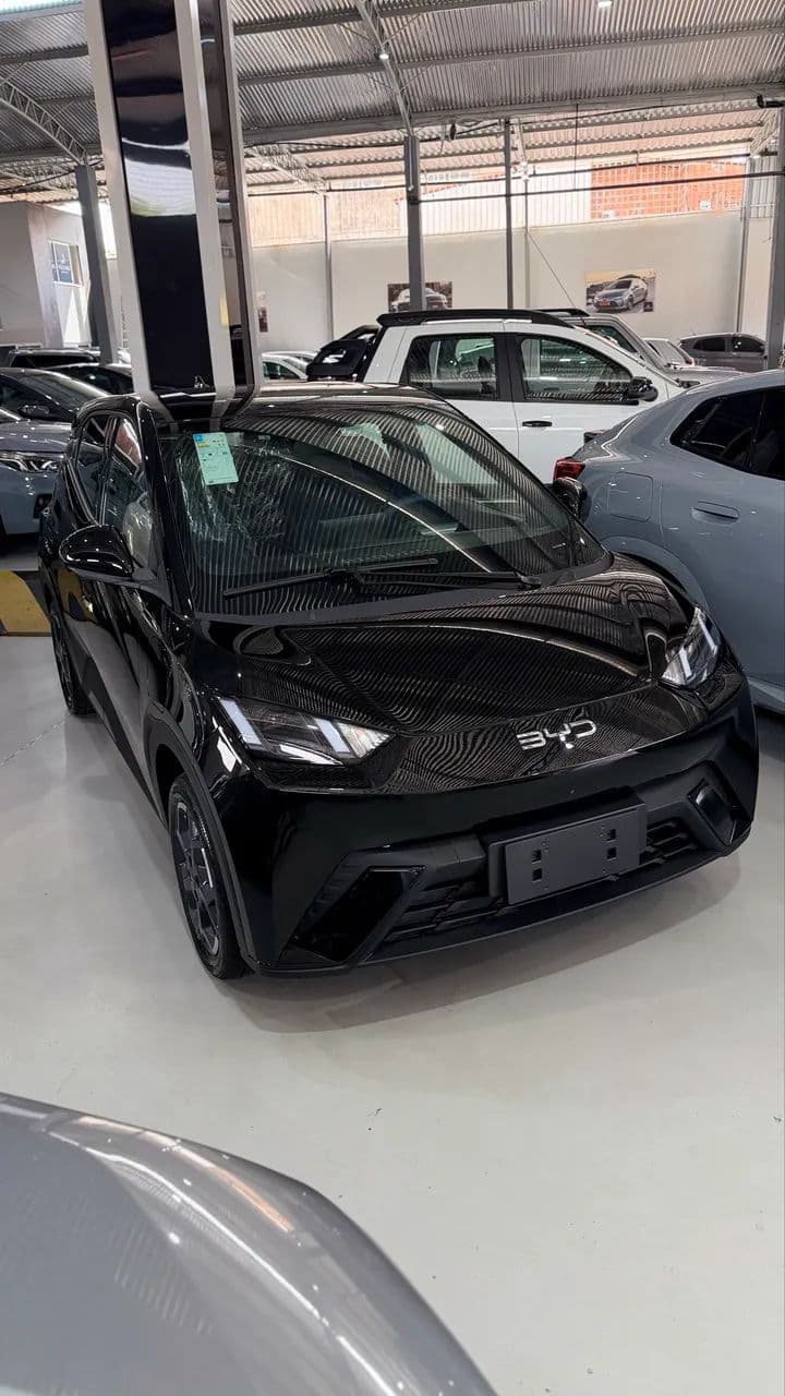 BYD Dolphin Mini (Elétrico) 2027