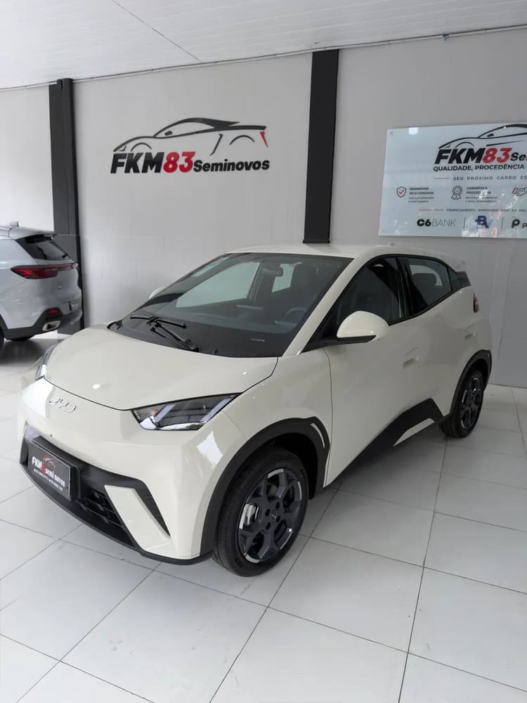 BYD Dolphin GS (Elétrico) 2027