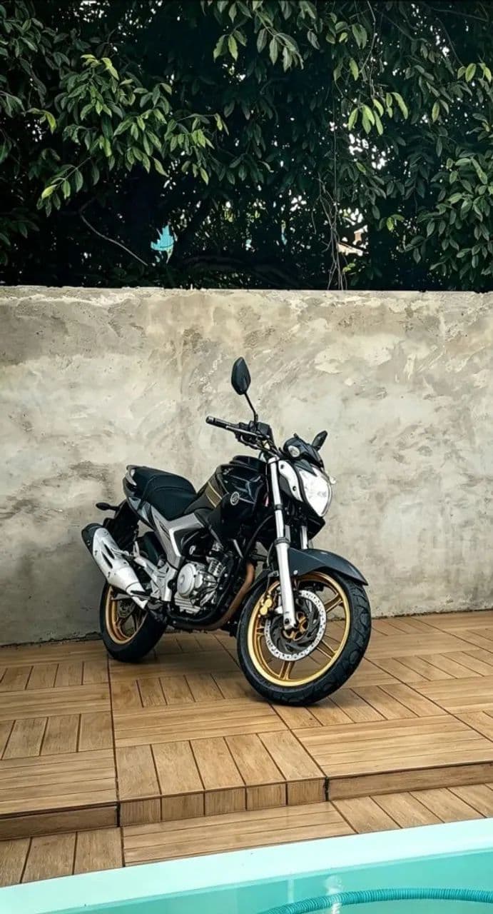Fazer 250 2011