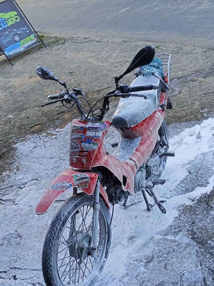 Phoenix 100 cc
