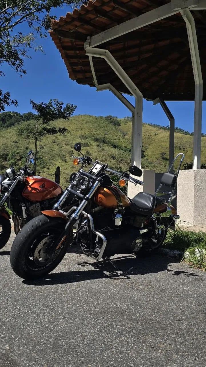 Harley davidson fat bob dyna 