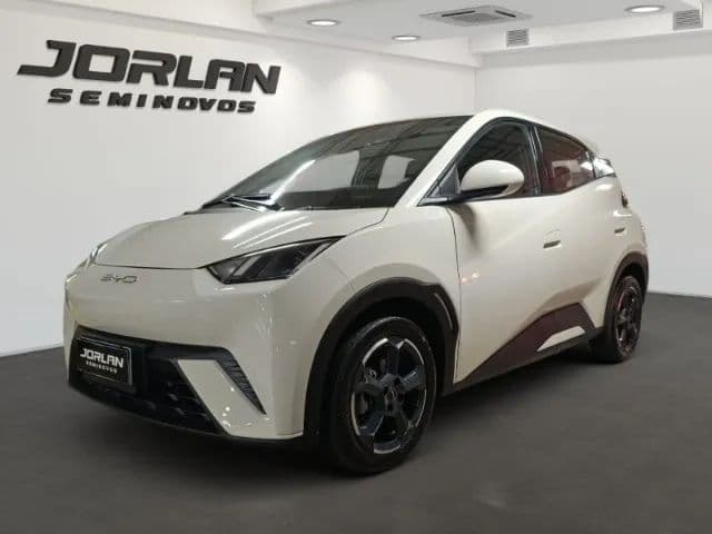 BYD Dolphin Mini (Elétrico) 2025