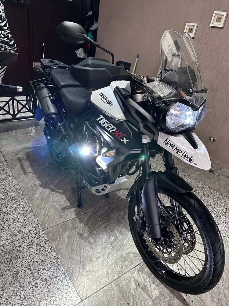 Tiger 800xcx 