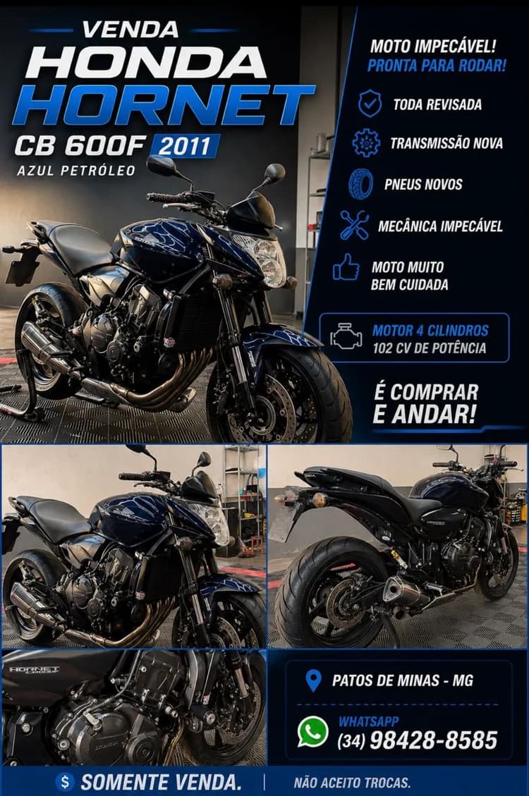 Hornet 600