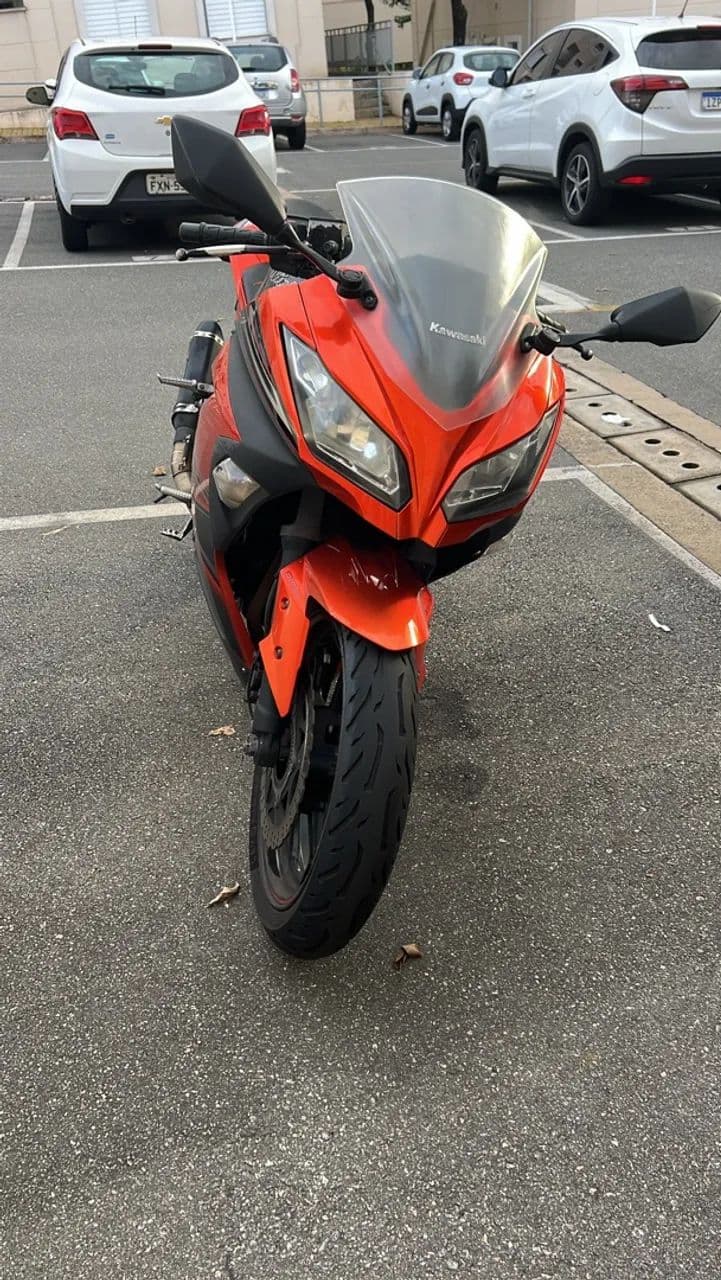 Ninja 300 Special Edition abs 