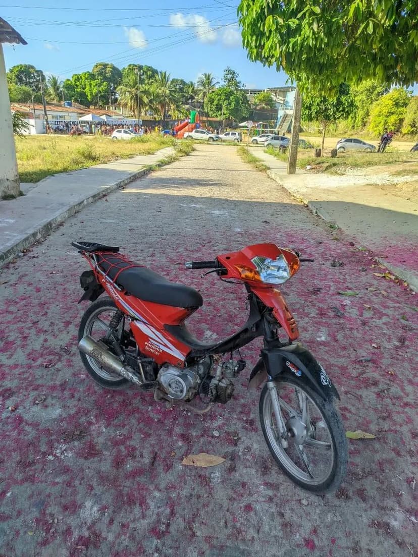 Phoenix 50cc gold 
