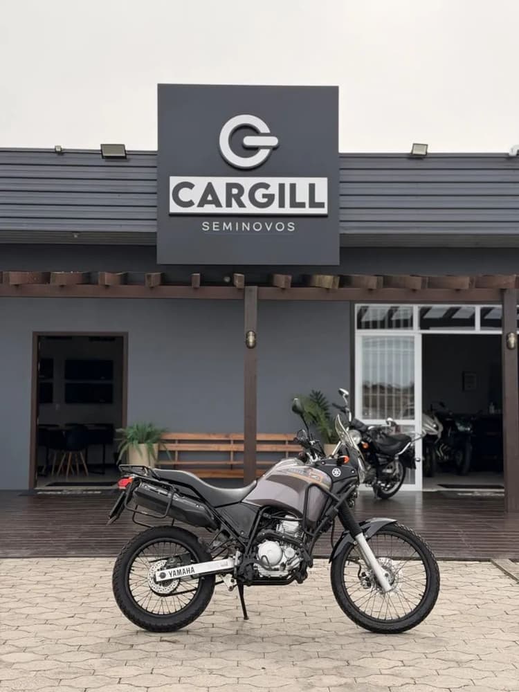 XTZ 250 TENERE/TENERE BLUEFLEX