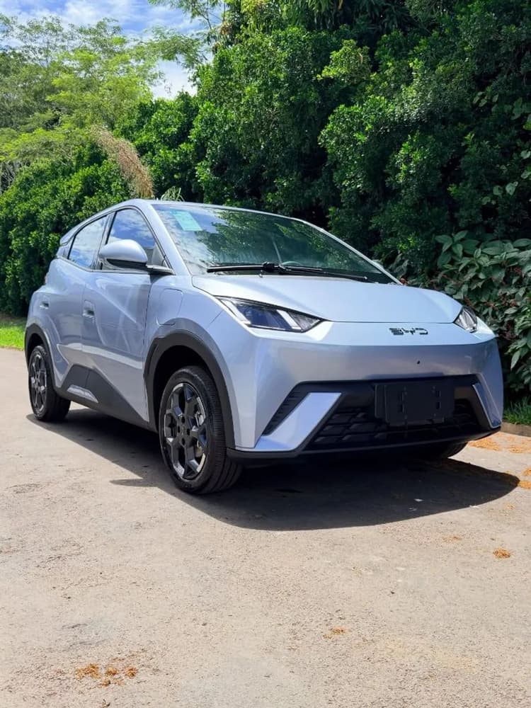 BYD Dolphin Mini (Elétrico) 2026