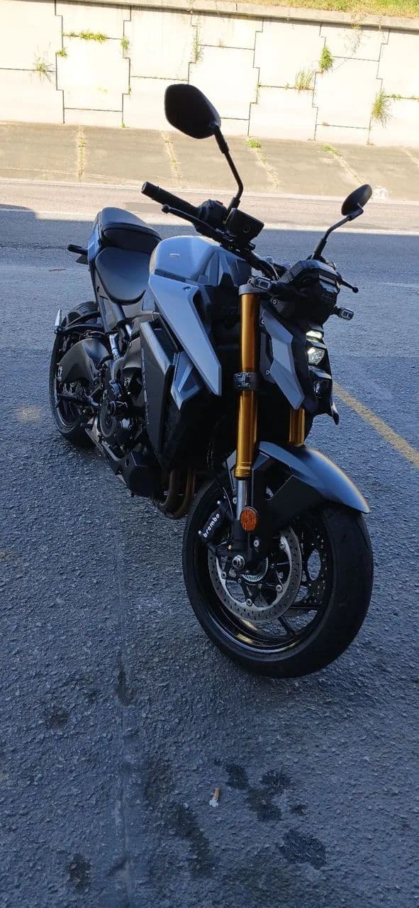 Suzuki gsxs1000 