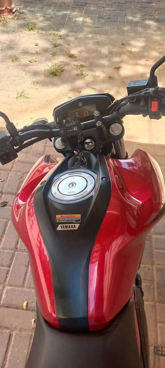 Fz15  2024