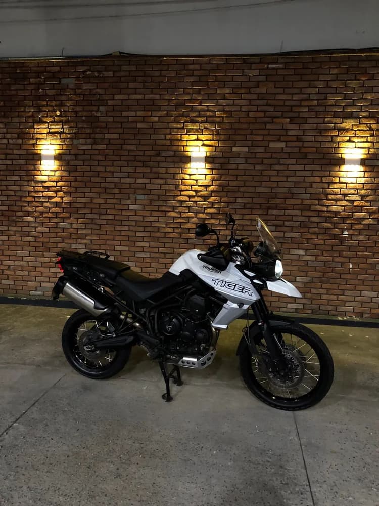 Tiger 800 xcx