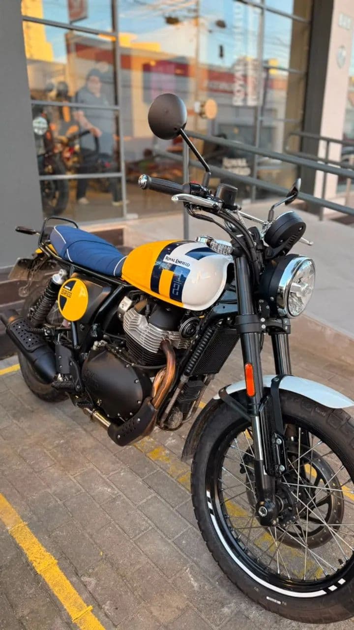 BEAR 650 WILD HONEY