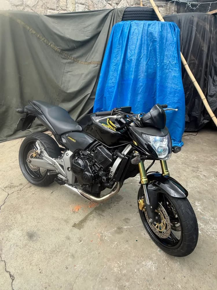 **Apenas vendo **