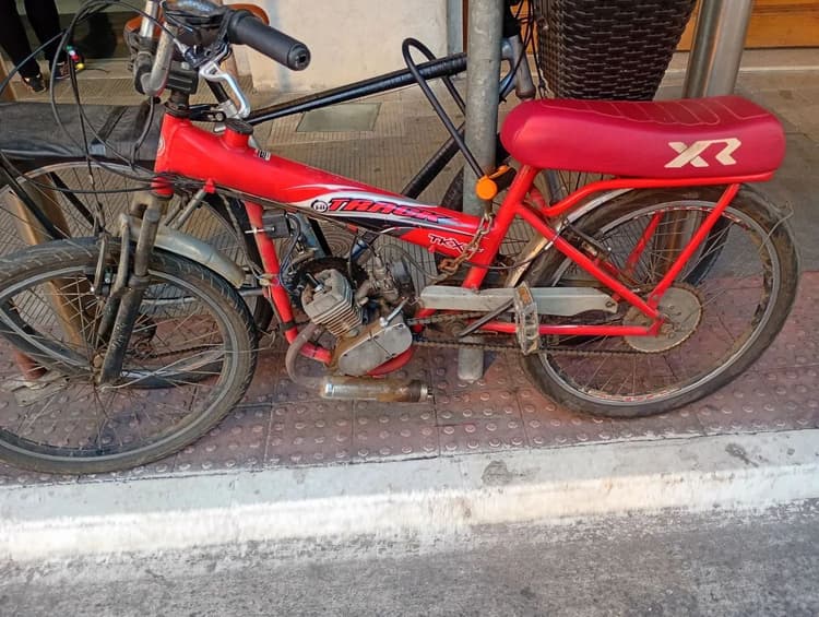 Vendo ou negócio em cavalos 