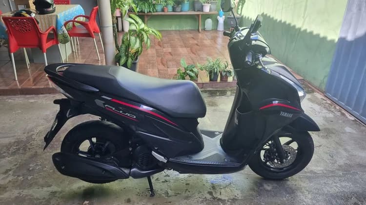 Yamara fluo híbrida 