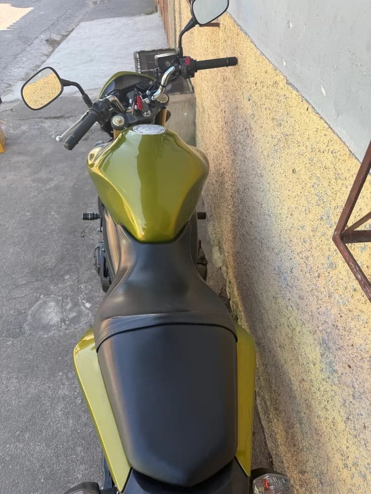 Hornet600