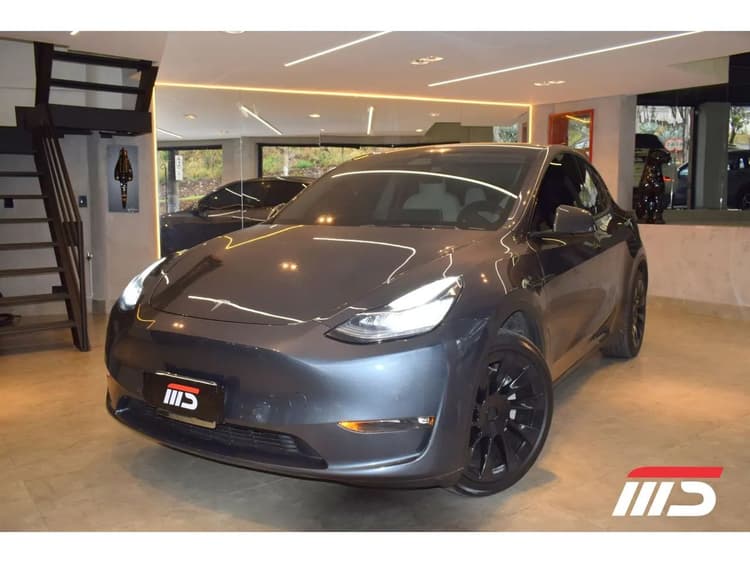 Tesla Model Y Performance 2021