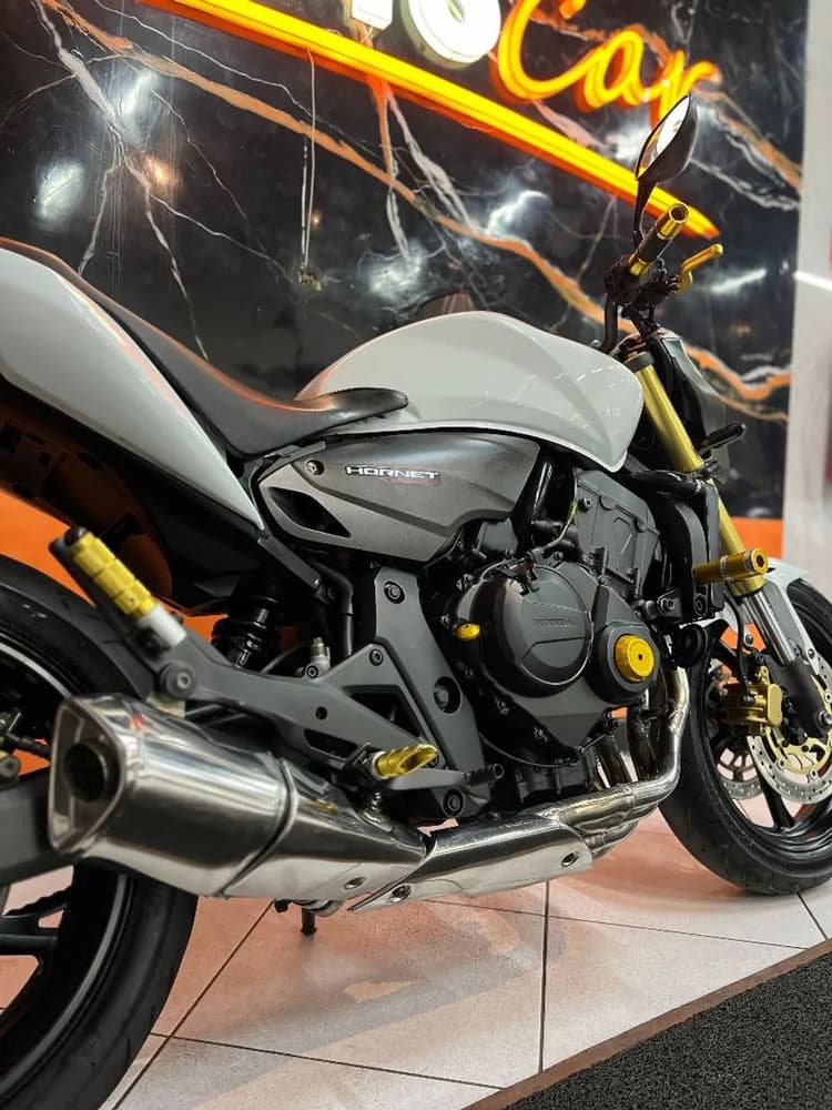 Hornet 2013 extra 