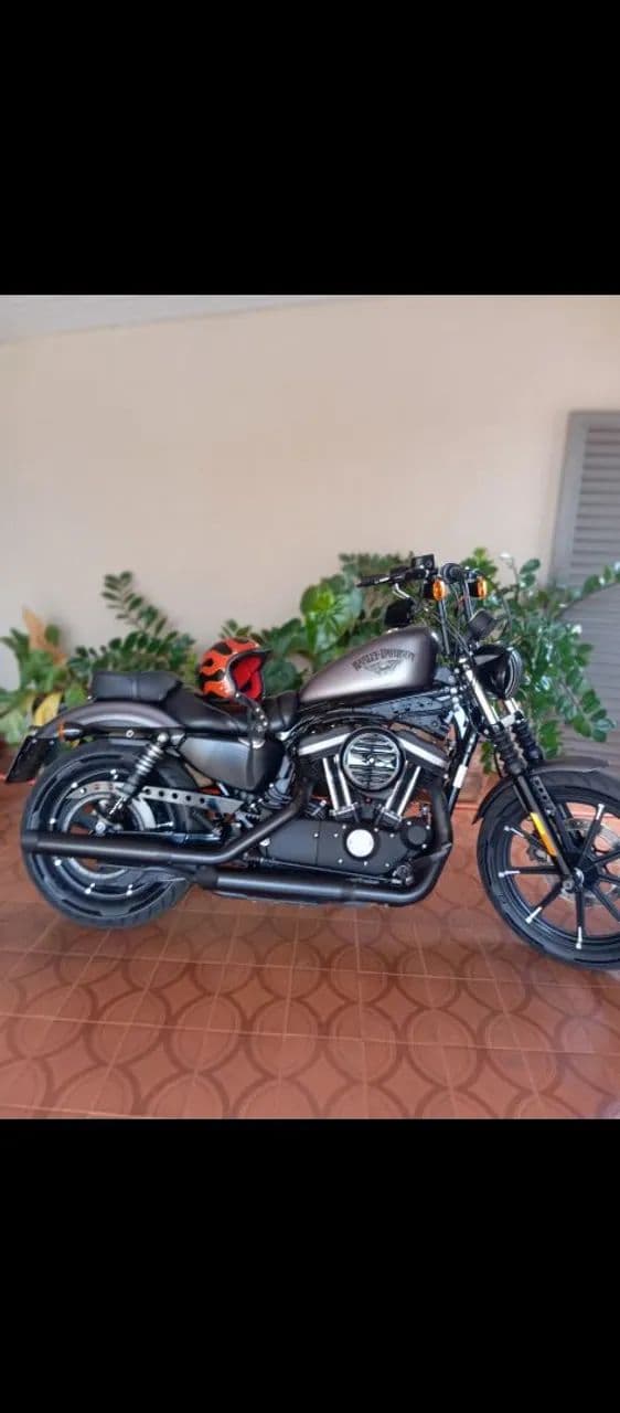 Harley Davidson 883