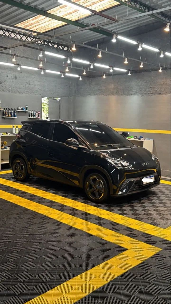 BYD Dolphin Mini (Elétrico) 2025