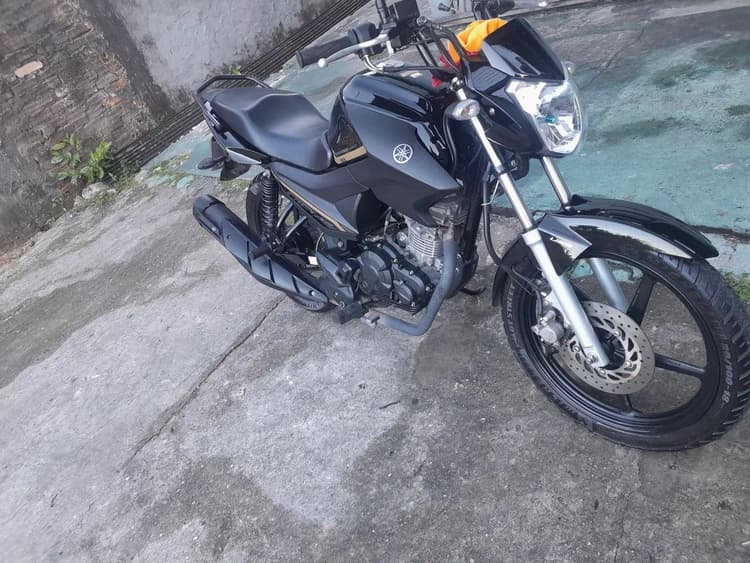 Factor 150 ED 2024 /2024