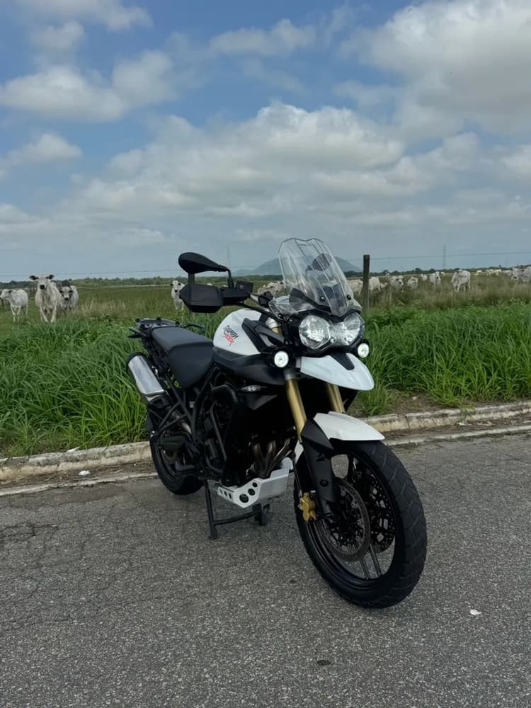 Tiger 800