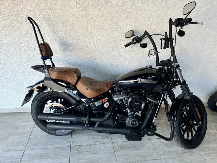 Harley Street-Bob FXBB 2019