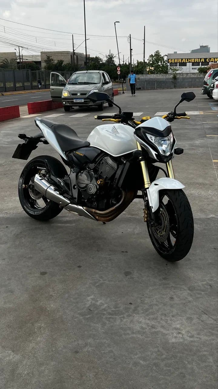 Hornet 