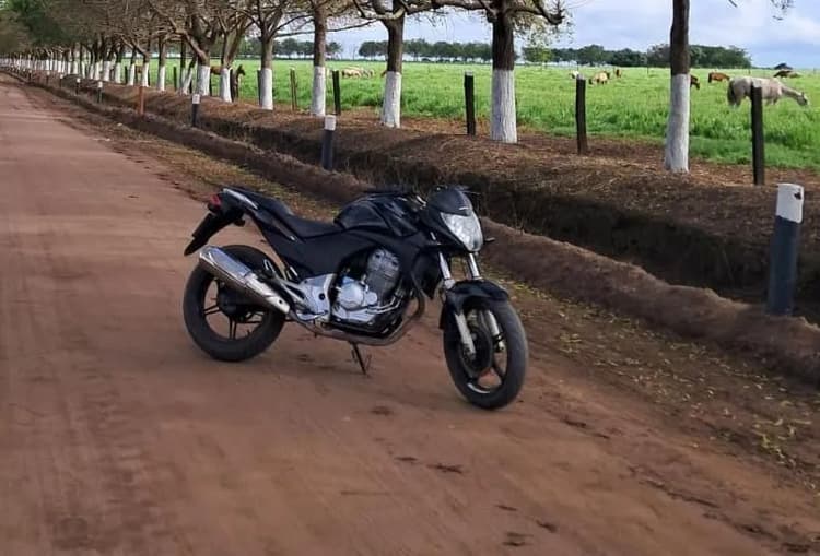 Cb 300 Emplacada 2 Dono 