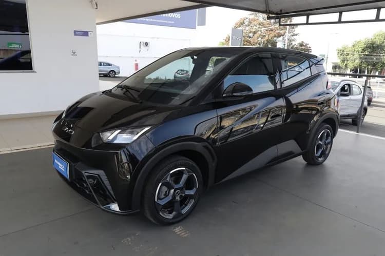 BYD Dolphin Mini (Elétrico) 2024