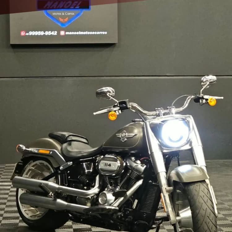 FAT BOY FLFBS 2019 Cinza